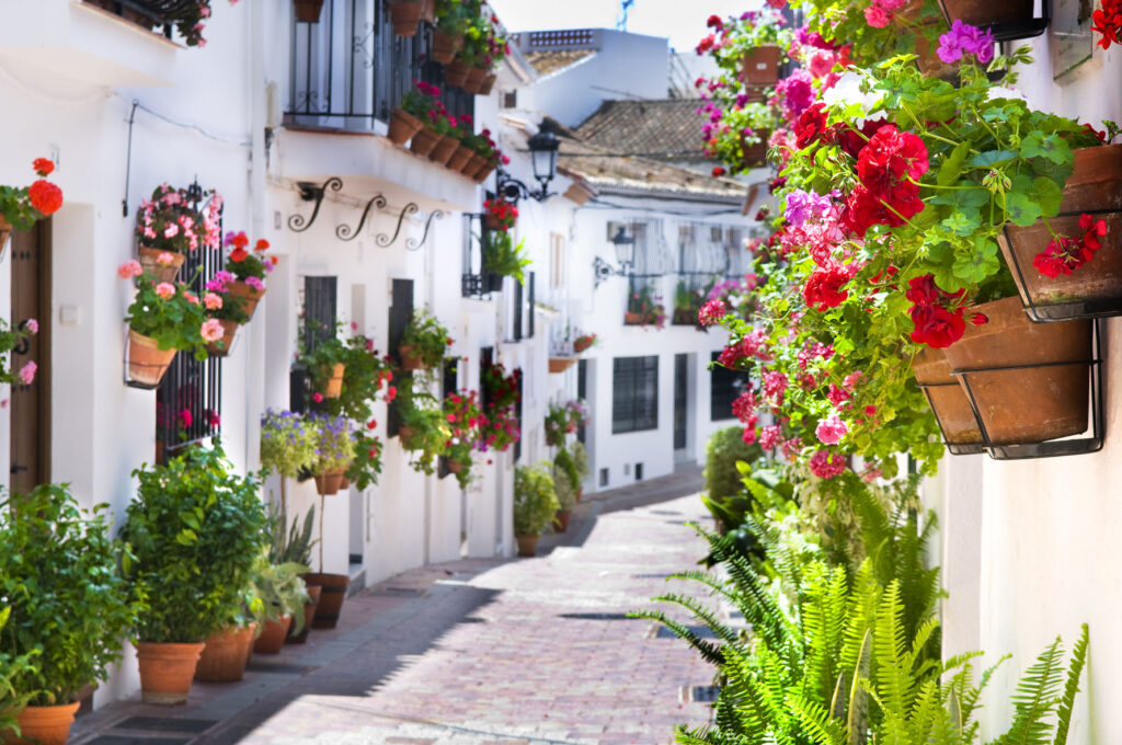 Calle Maestra Ayala Benalmadena