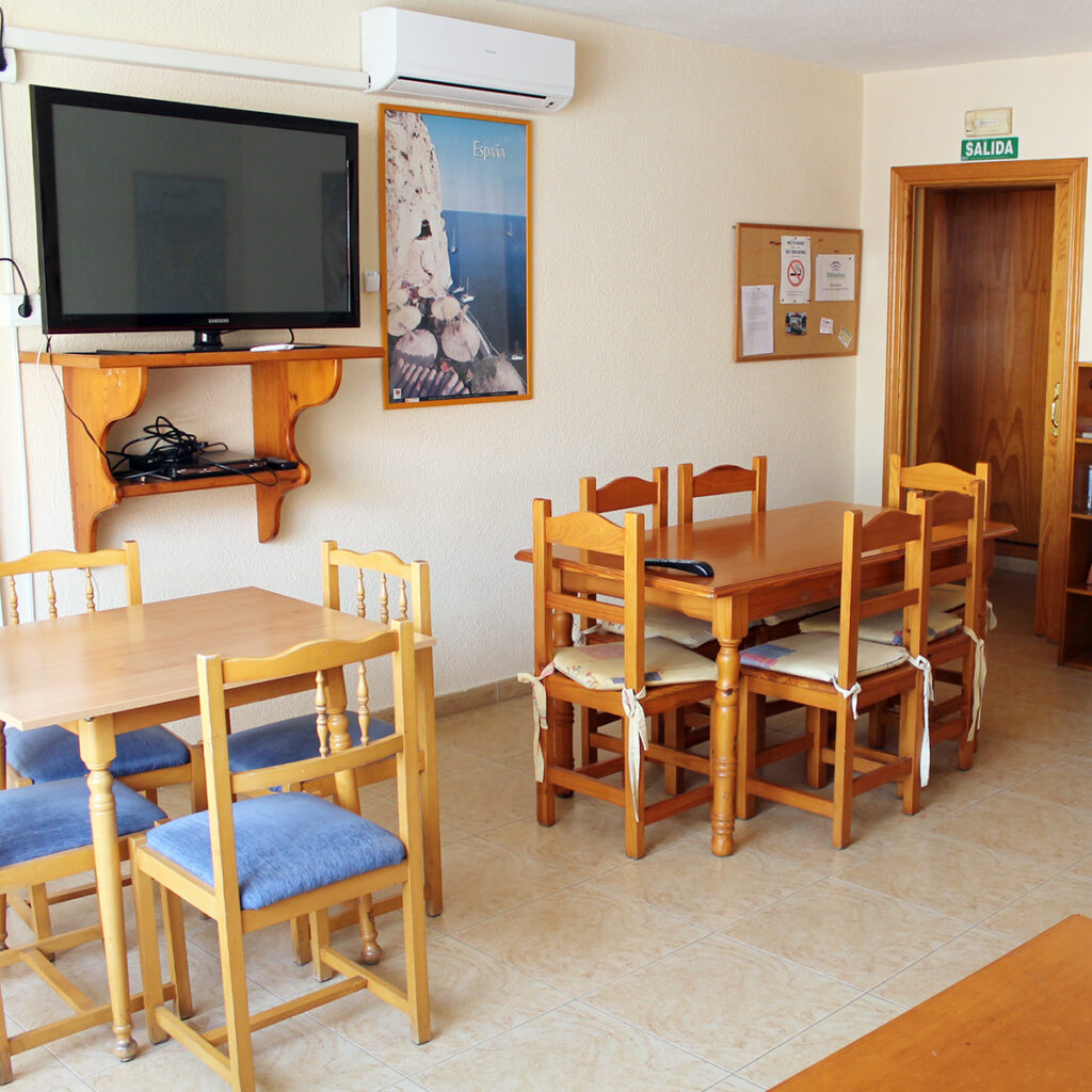 Apartment conors04